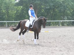 IMG_1392_web